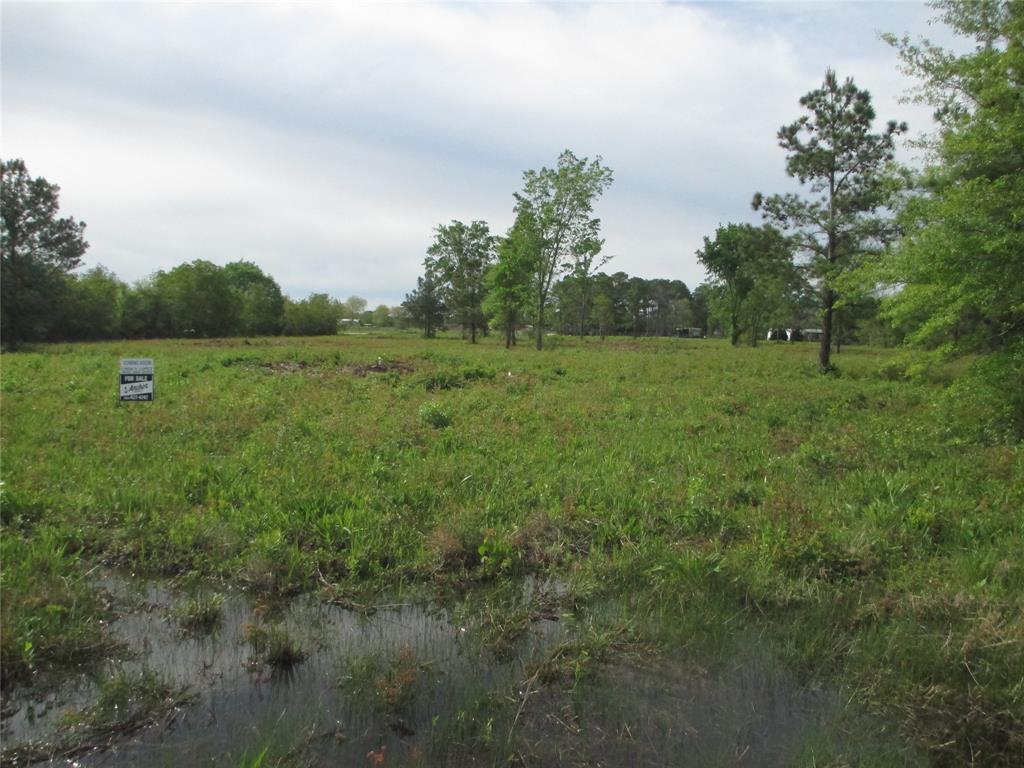 Morelos Road, Baytown, Texas image 6