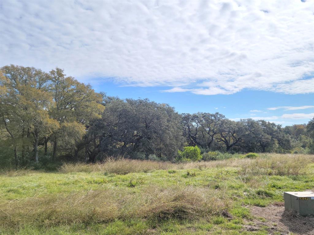 90 River Tree Drive, Blessing, Texas image 7