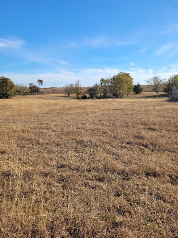 TBD 1 Caney Creek Road, Chappell Hill, Texas image 2