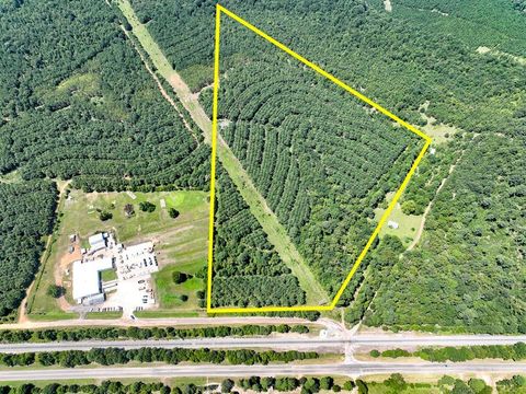 Vacant Land For Sale - 05 Highway 49<br/> Avinger, TX 75630