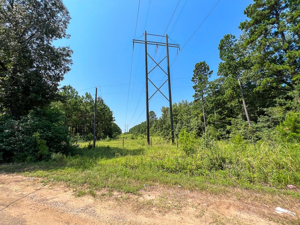 05 Highway 49, Avinger, Texas image 8