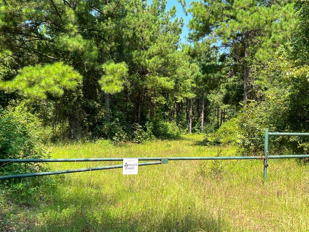 05 Highway 49, Avinger, Texas image 9