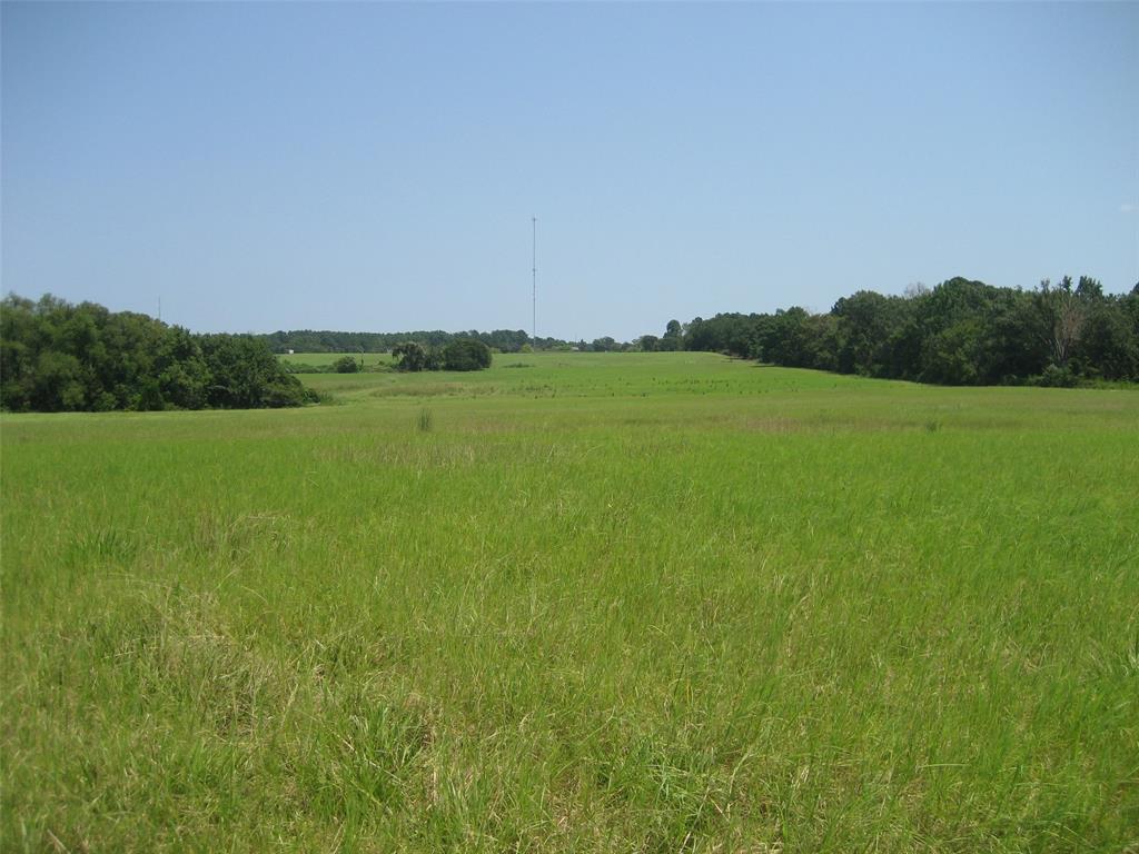 00 Tx-294 East, Elkhart, Texas image 10