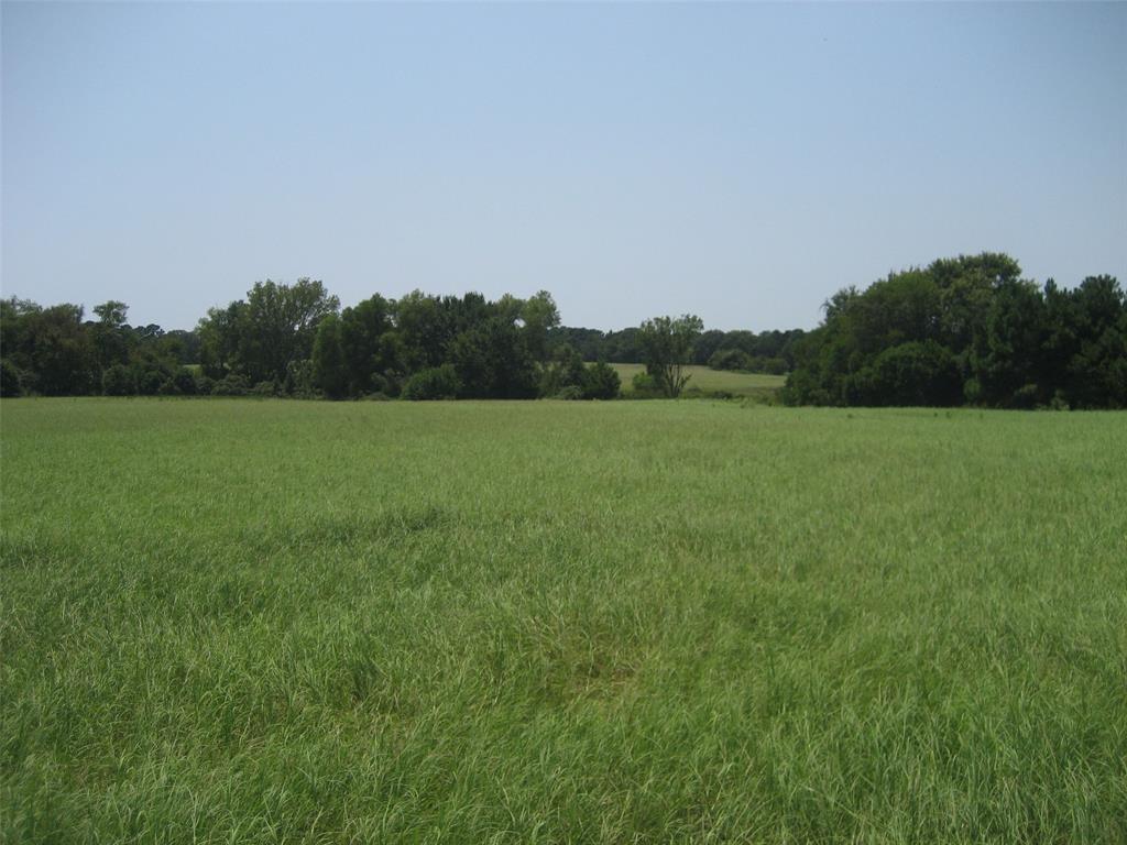 00 Tx-294 East, Elkhart, Texas image 4