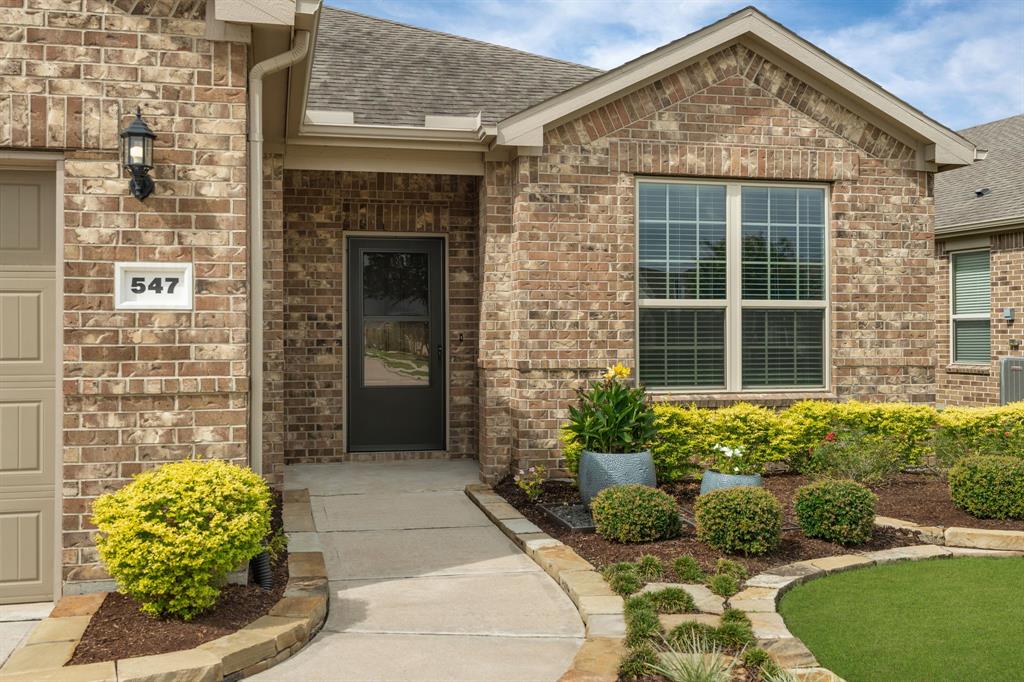 547 Emory Peak Drive