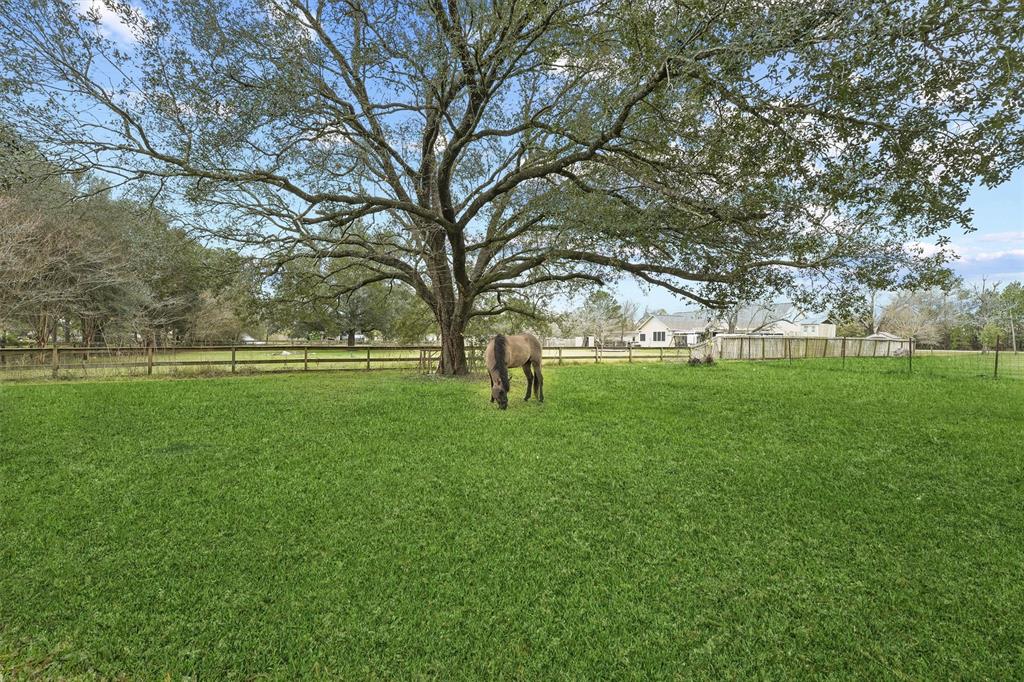 816 Sundown Meadows Street, Crosby, Texas image 29