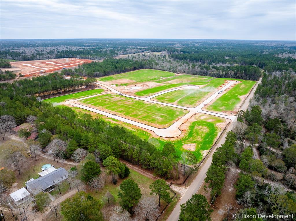 12311 Mccrorey Trails Court, Conroe, Texas image 20