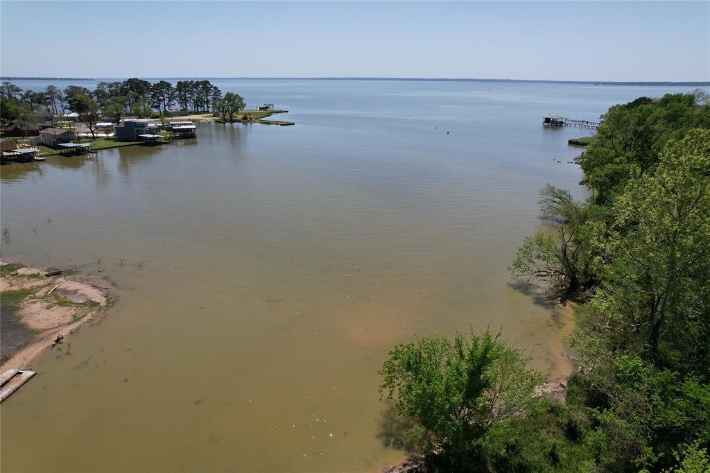 304 E Beaumont Avenue, Onalaska, Texas image 13