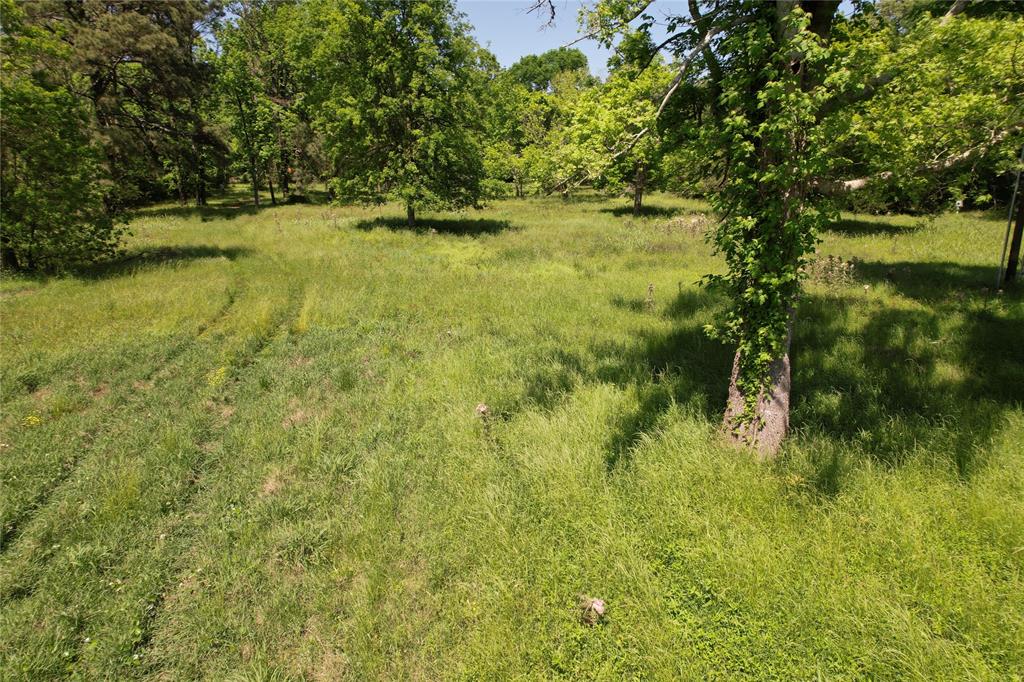304 E Beaumont Avenue, Onalaska, Texas image 14