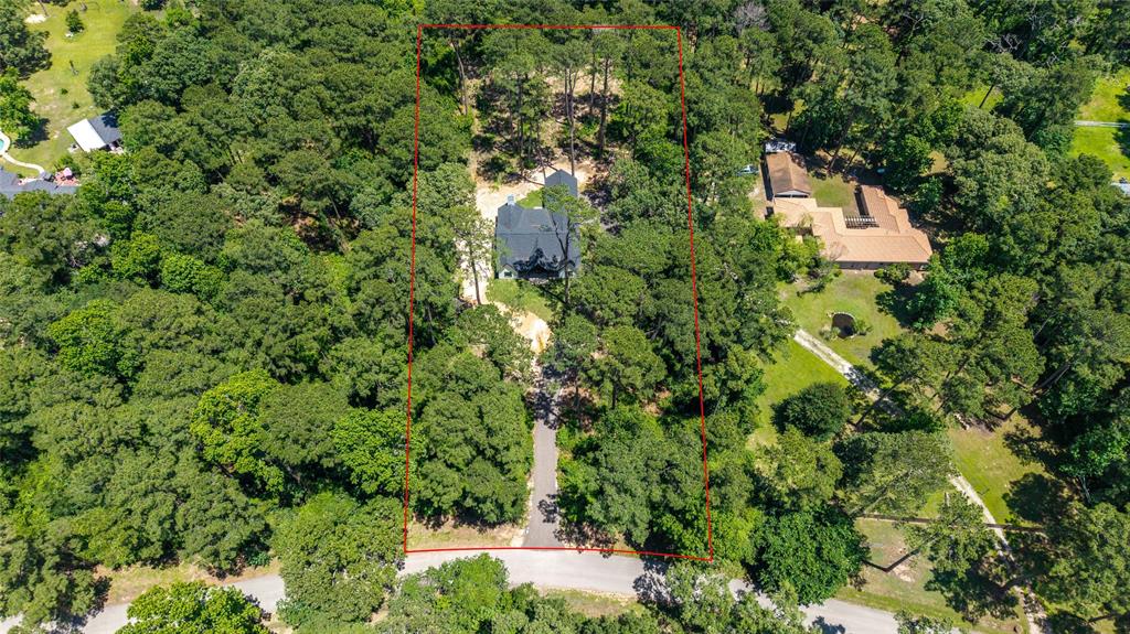 23114 Cardinal Drive, Hockley, Texas image 41