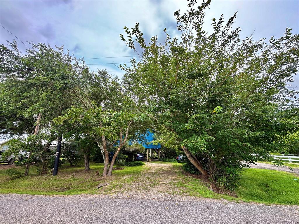 491 Carancahua Drive, Palacios, Texas image 2