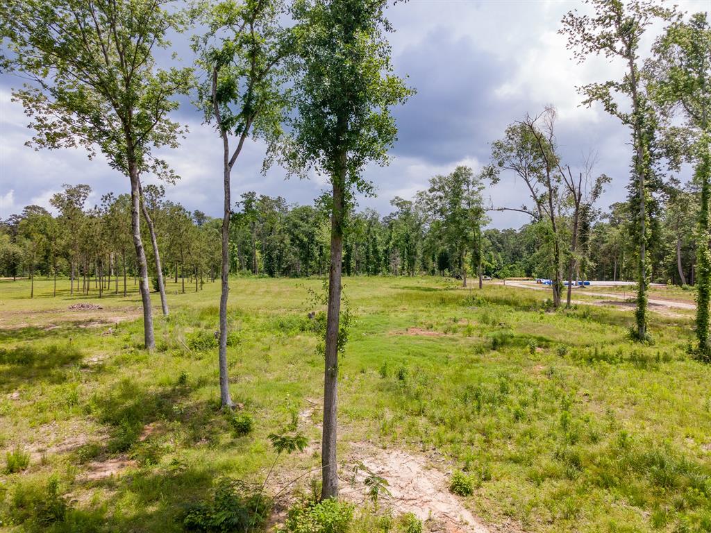 19450 Highway 146, Liberty, Texas image 5
