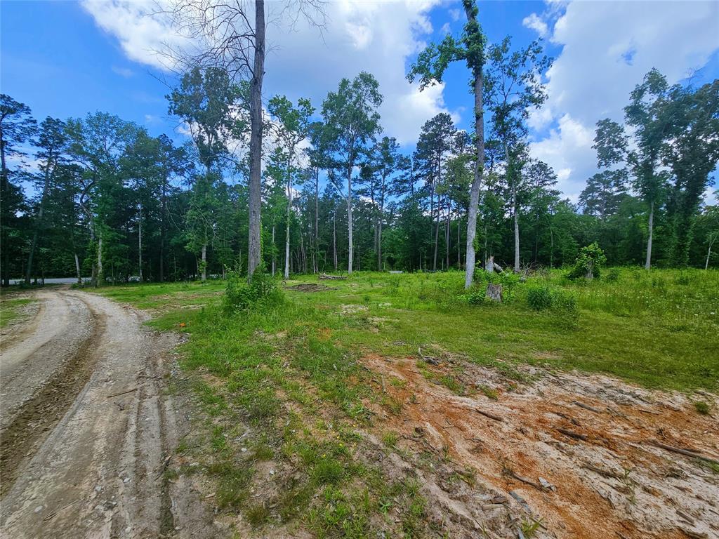19450 Highway 146, Liberty, Texas image 8