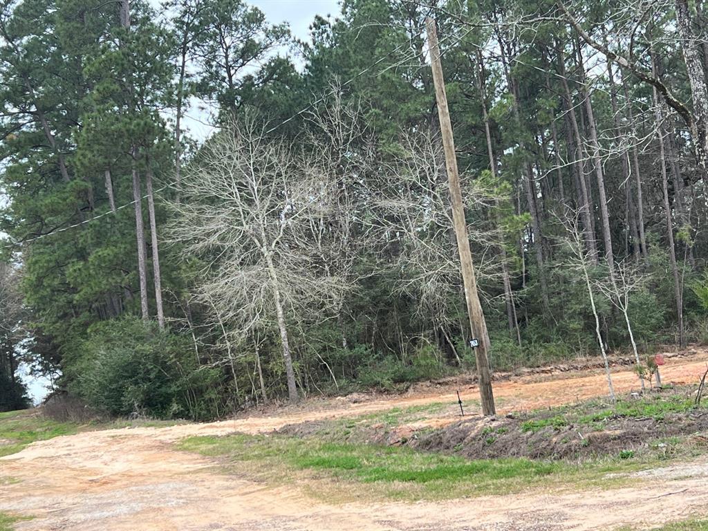 7841 Gum Tree Lane, Plantersville, Texas image 4