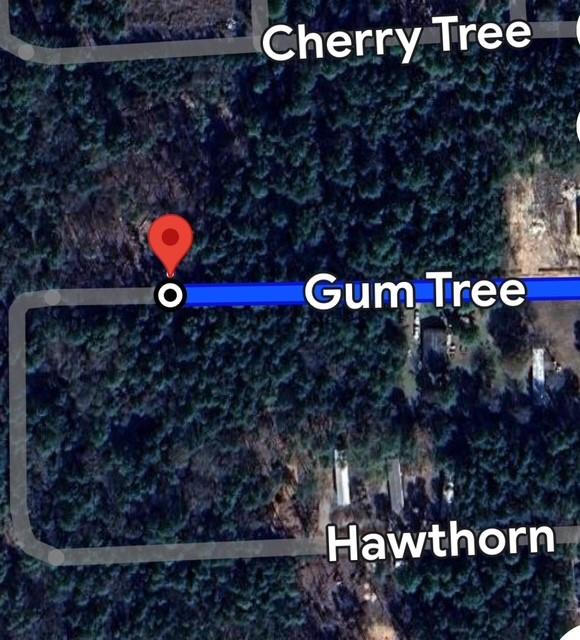 7841 Gum Tree Lane, Plantersville, Texas image 3