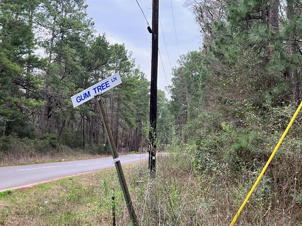 7841 Gum Tree Lane, Plantersville, Texas image 2