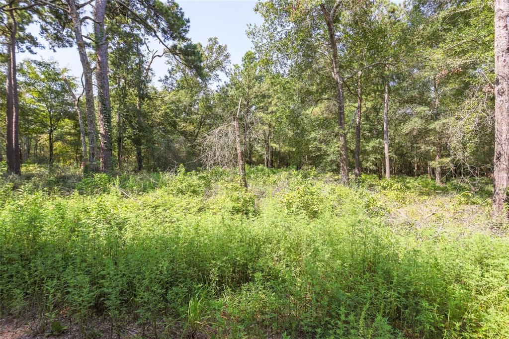 7841 Gum Tree Lane, Plantersville, Texas image 1