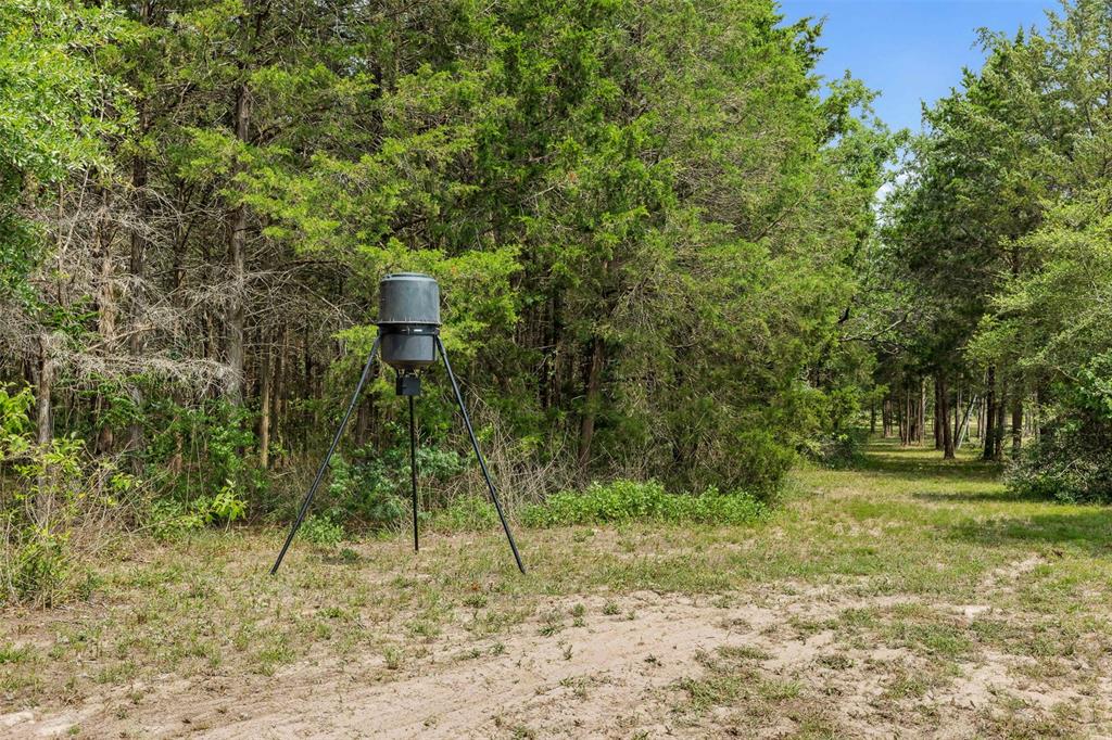 1018 Woodglen Way, Cat Spring, Texas image 38