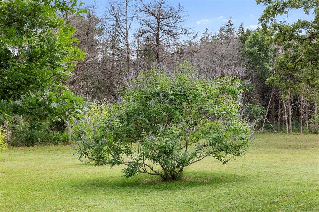 1018 Woodglen Way, Cat Spring, Texas image 39