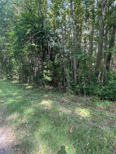 TBD Cr 2166 Teresa Ln Lane, Cleveland, Texas image 6