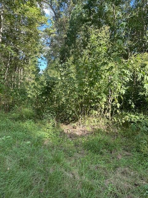 TBD Cr 2166 Teresa Ln Lane, Cleveland, Texas image 1