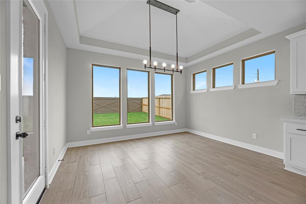 16259 Blue Mistflower Lane
