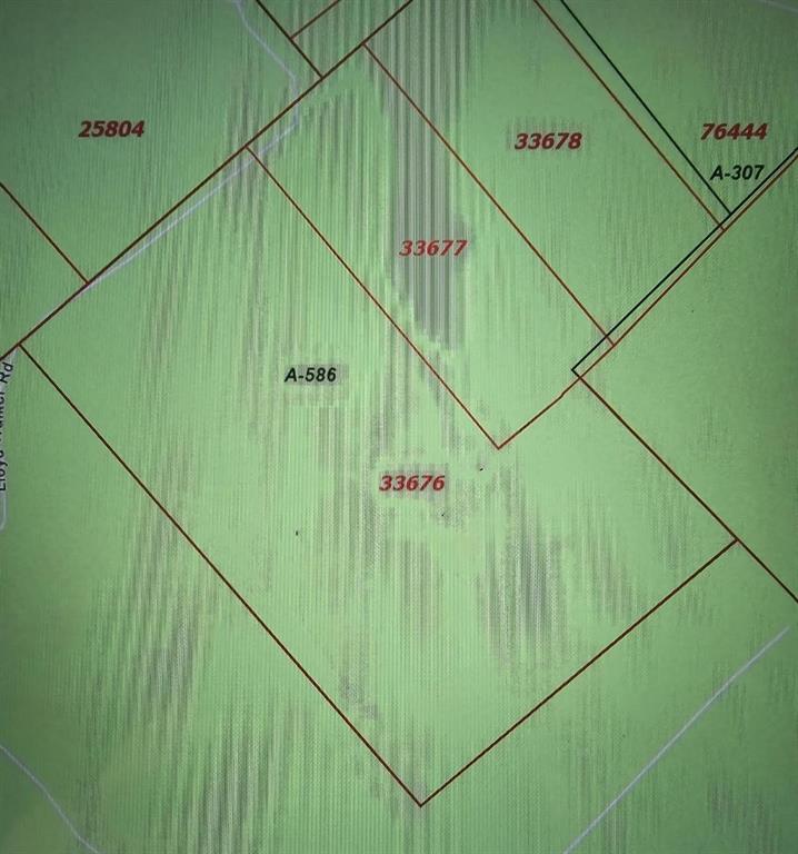 TRACT 2 Lloyd Walker Road, Huntington, Texas image 9