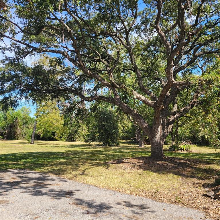 1018 E Meyer Road, Seabrook, Texas image 2