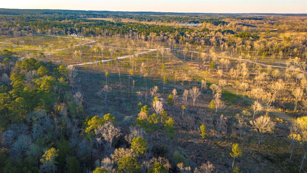 TBD 05 Johnson Drive, Livingston, Texas image 5