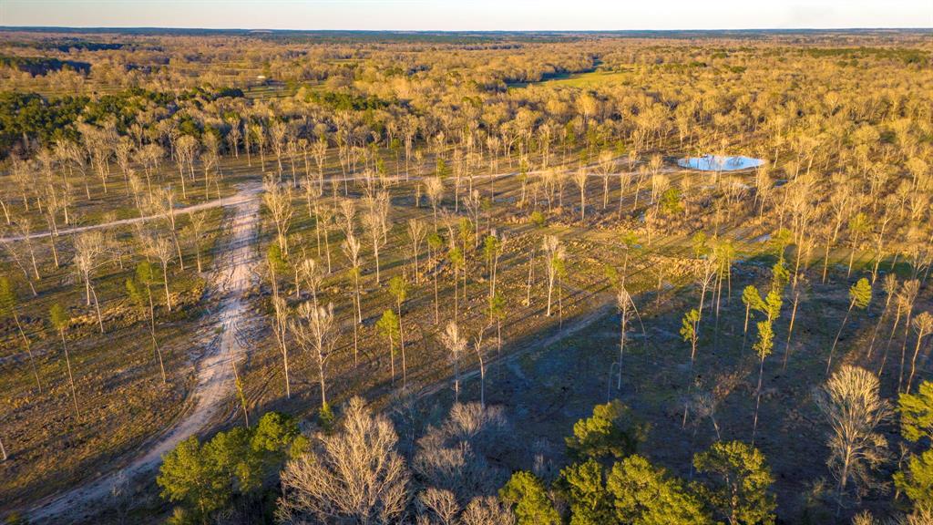 TBD 05 Johnson Drive, Livingston, Texas image 3