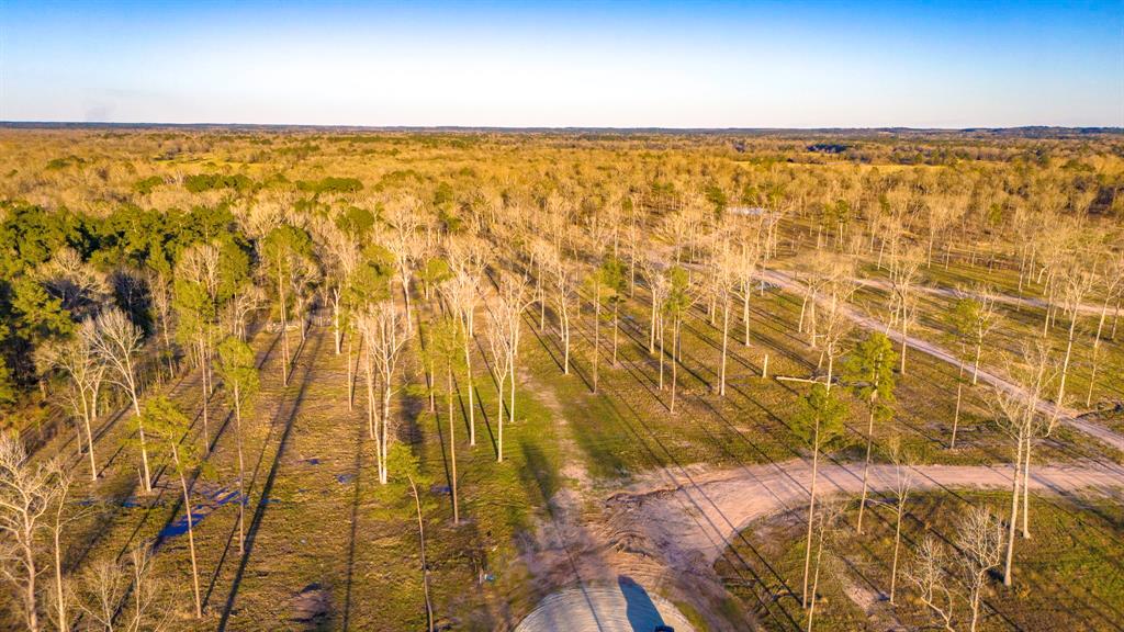 TBD 05 Johnson Drive, Livingston, Texas image 2