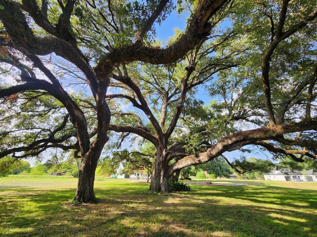 21807 Red Oak View Court, Tomball, Texas image 5