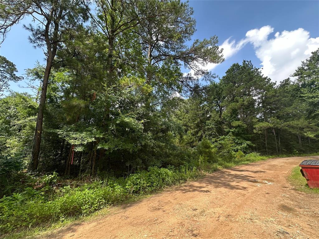 Foxfire Drive, Plantersville, Texas image 3