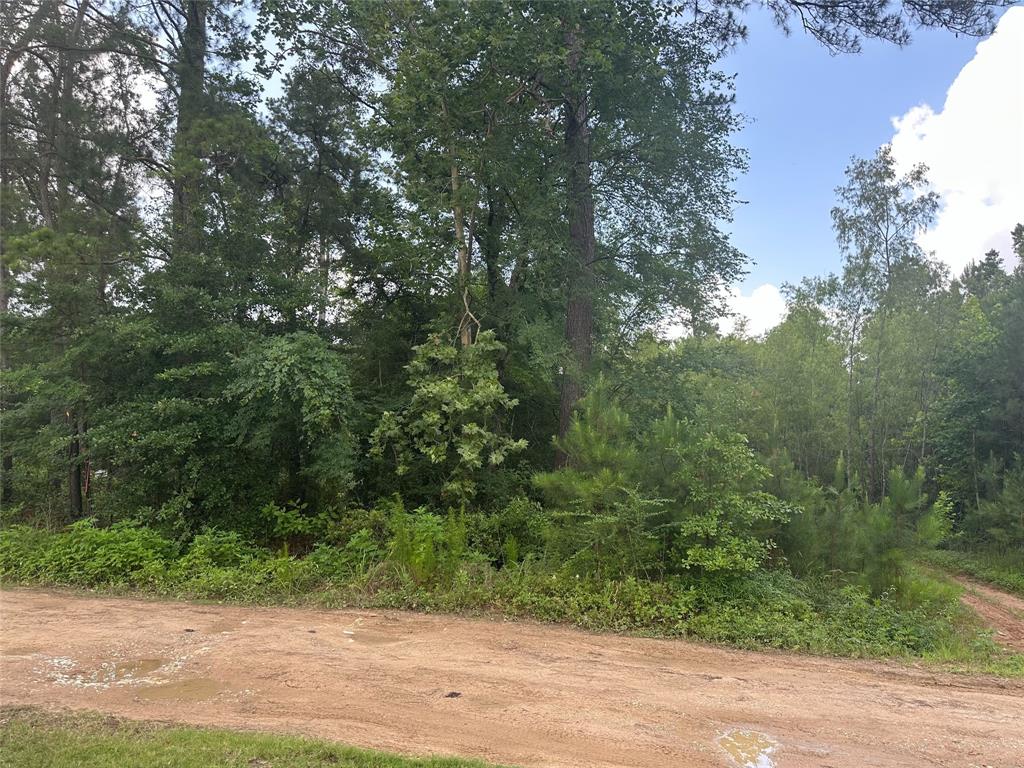 Foxfire Drive, Plantersville, Texas image 2