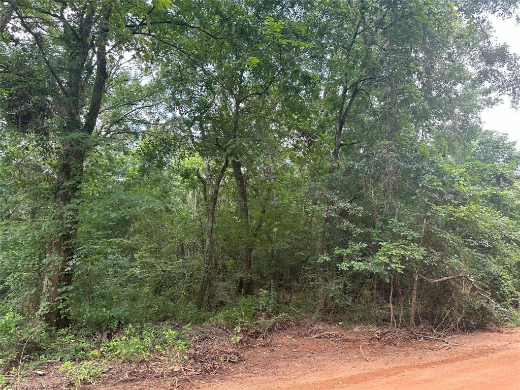 Foxfire Drive, Plantersville, Texas image 1