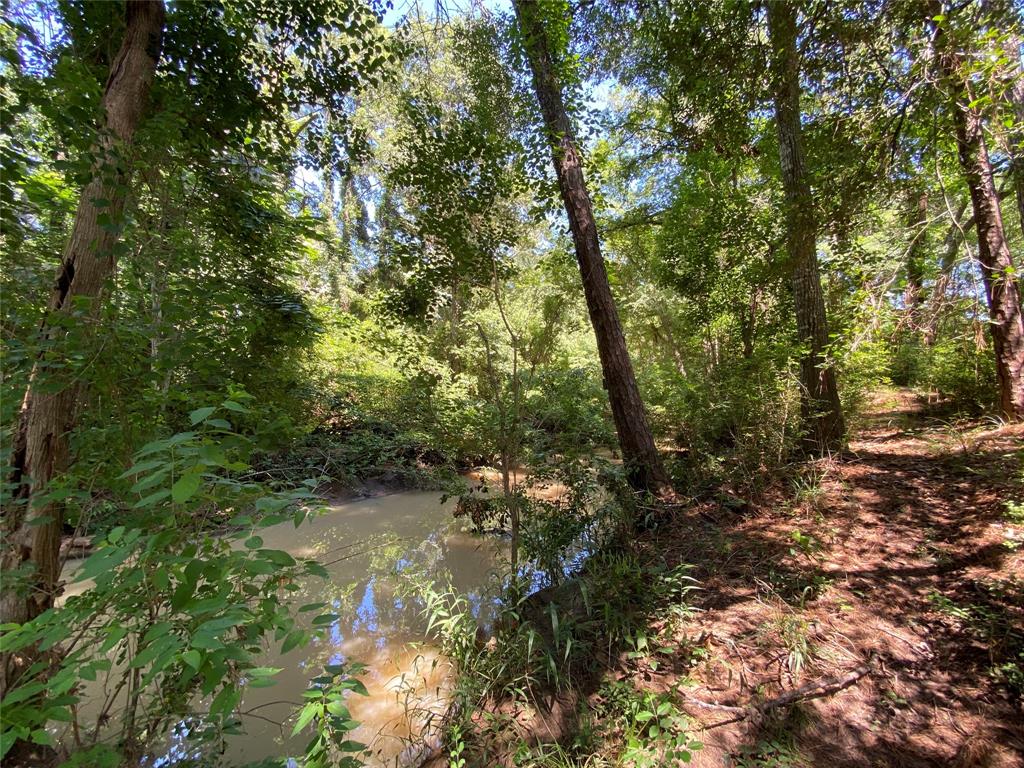 19725 W Lakeshore Drive, Magnolia, Texas image 4