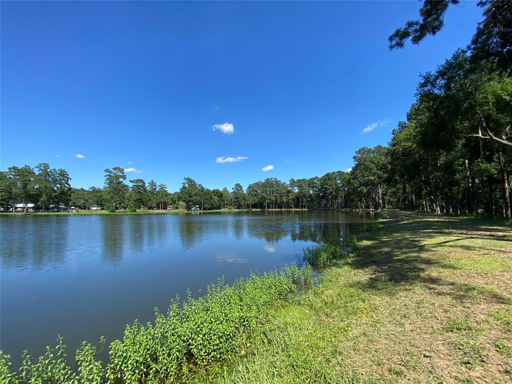 19725 W Lakeshore Drive, Magnolia, Texas image 8