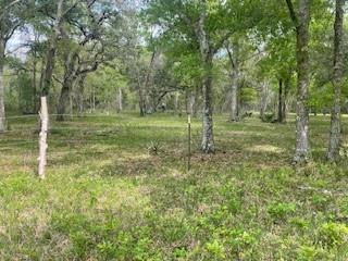 2419 Fm 1459 Road, Sweeny, Texas image 17