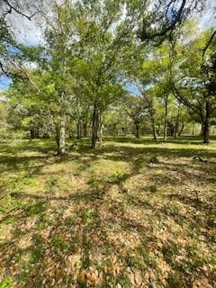 2419 Fm 1459 Road, Sweeny, Texas image 19