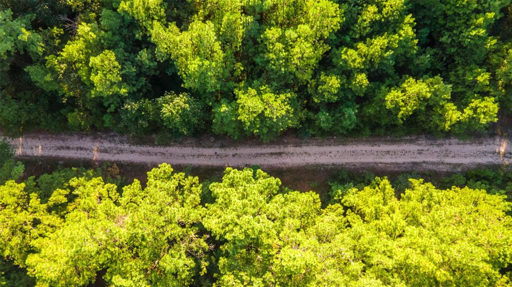 TBD Highway 287, Groveton, Texas image 26