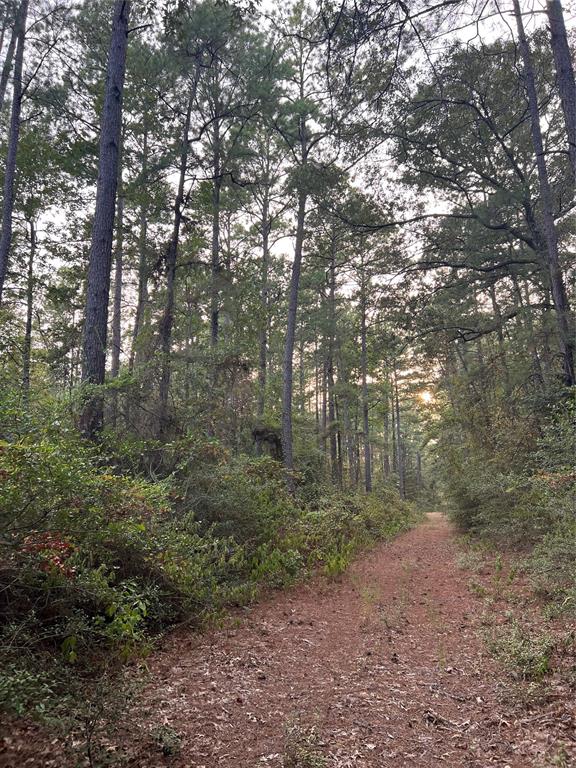 TBD Highway 287, Groveton, Texas image 10