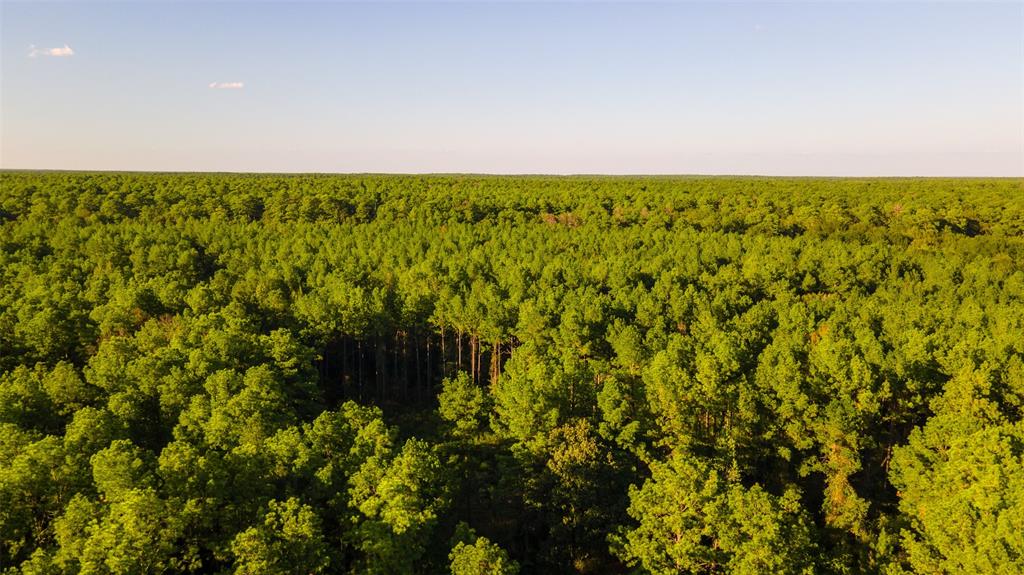 TBD Highway 287, Groveton, Texas image 27