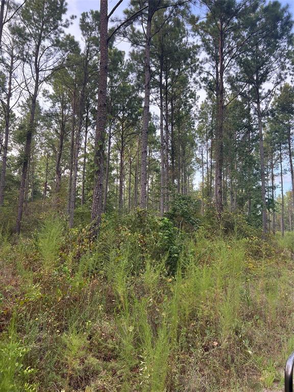 TBD Highway 287, Groveton, Texas image 17