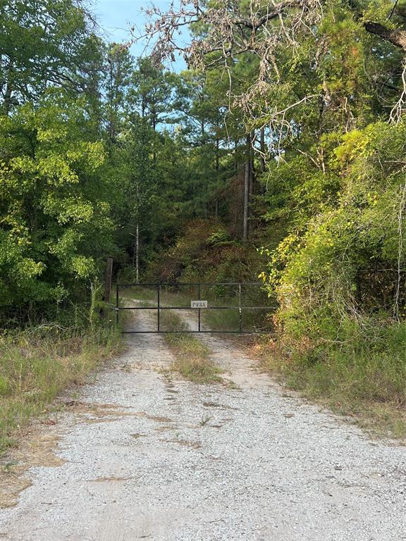 TBD Highway 287, Groveton, Texas image 3