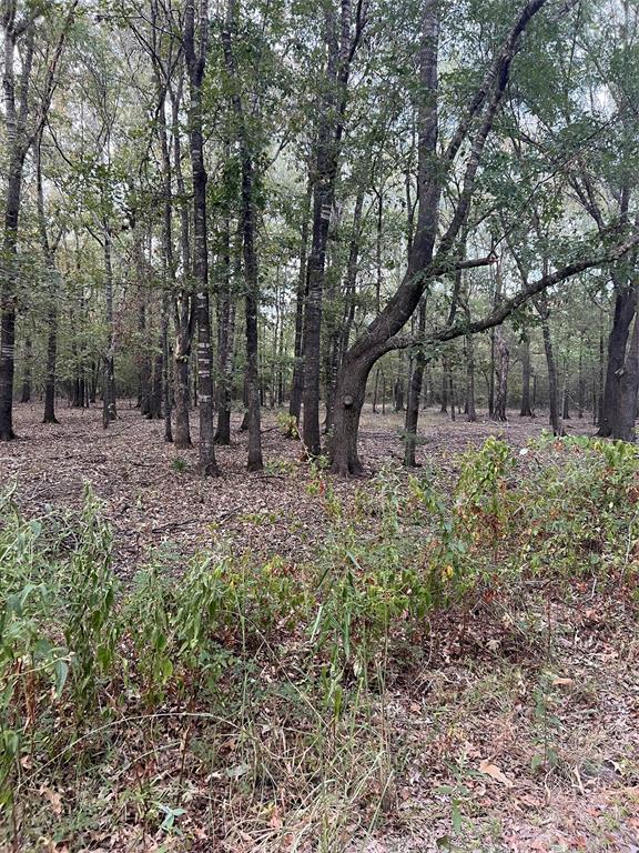 TBD Highway 287, Groveton, Texas image 8