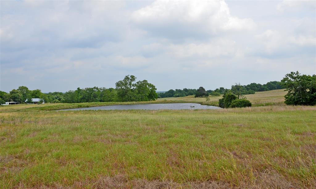7319 Highway 6, Navasota, Texas image 15