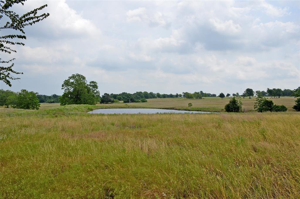 7319 Highway 6, Navasota, Texas image 16