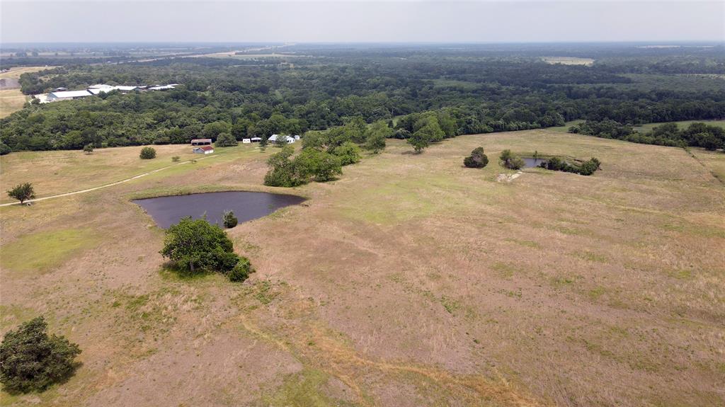 7319 Highway 6, Navasota, Texas image 23