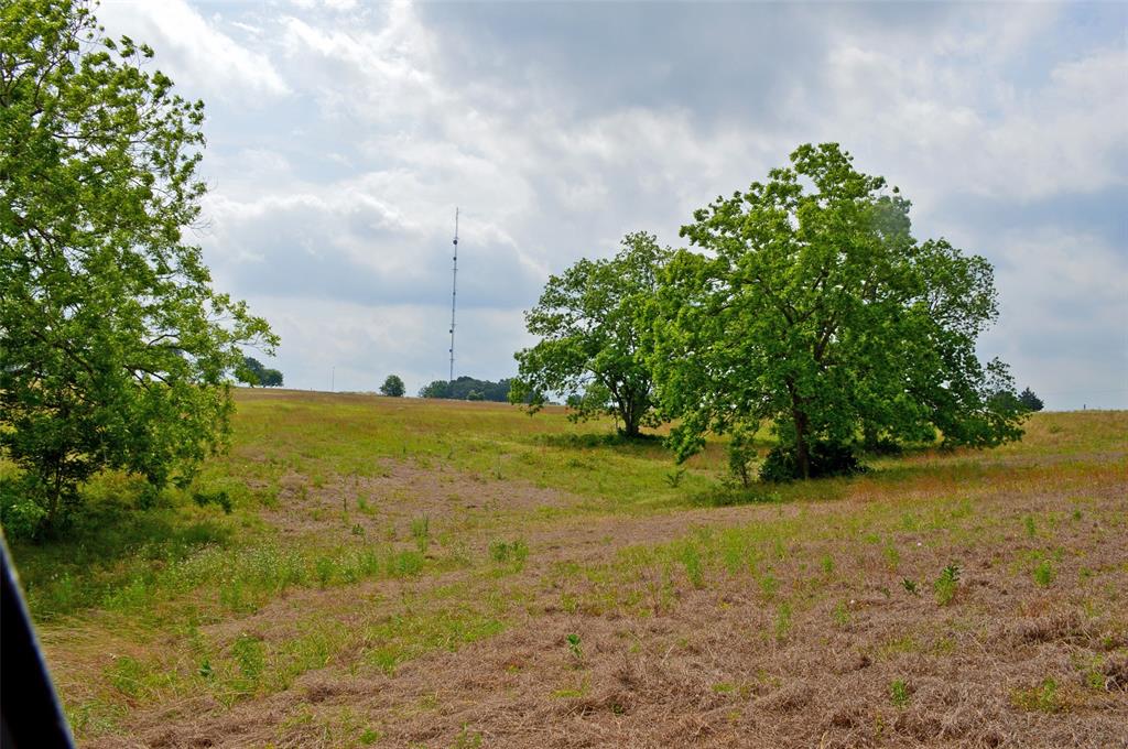 7319 Highway 6, Navasota, Texas image 7