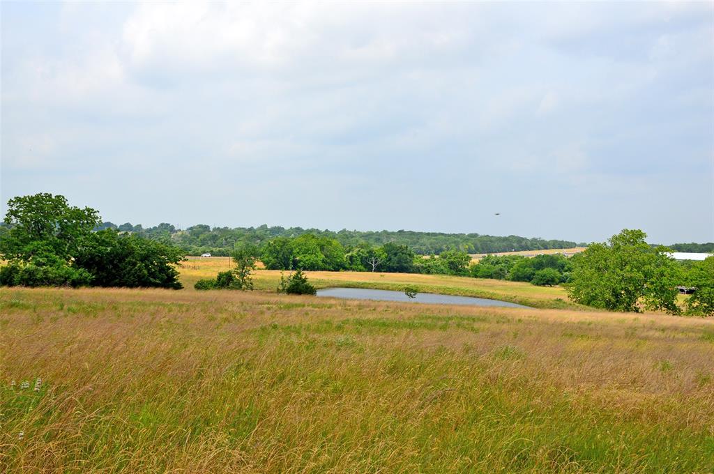7319 Highway 6, Navasota, Texas image 11